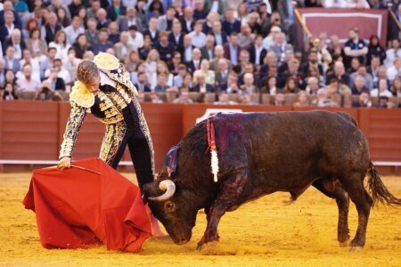 You by no means give Victorino for lifeless: the bravery of carabiner and scribe conjurate in Seville
 | EUROtoday