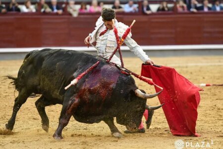 Glory to Victoriano del Río: The Excellence of Freny or the True Bravura again to the ring in Las Ventas
 | EUROtoday