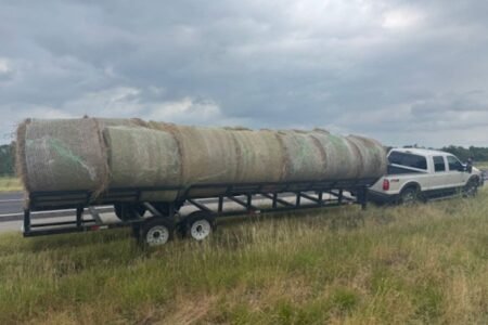 Police cease innocent-looking trailer – solely to uncover smuggling operation in hollowed-out bales of hay
 | EUROtoday