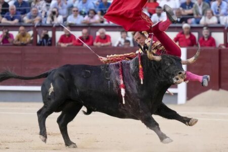 Román’s generosity obtains a prize in Las Sales; The courageous affirmation of San Román, no
 | EUROtoday