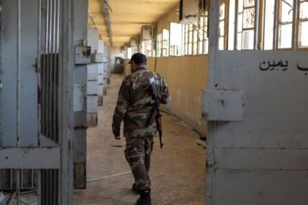 Middle East: Assads Syria: Eight million individuals underneath statement
 | EUROtoday