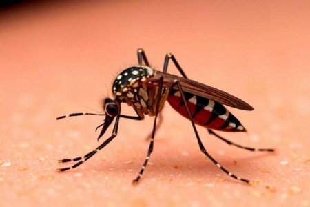 Should we be afraid of the vaccine?
 | EUROtoday