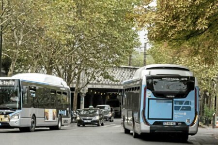 Why do buses nonetheless appear empty in large cities?
 | EUROtoday