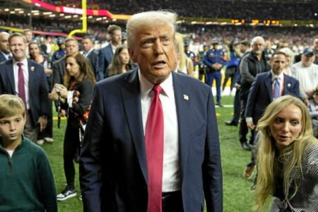 How Donald Trump did a political lever sports activities
 | EUROtoday