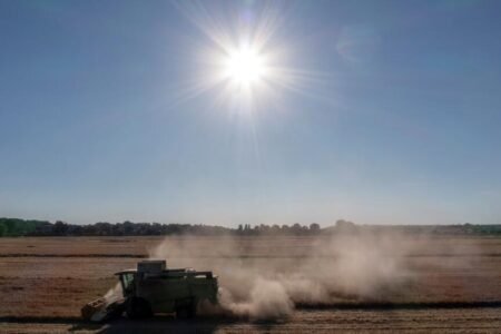 Farmers fears for crops as worst drought in a long time hits northern Europe
 | EUROtoday
