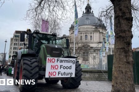 MPs name for year-long delay to proposals
 | EUROtoday