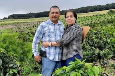 Immigrants are being rounded up in Hawaii’s espresso fields and being handled worse than ‘cats and dogs,’ locals say
 | EUROtoday