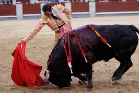 San Isidro Fair: You should kill bulls, Fortes, artist! | Culture
 | EUROtoday