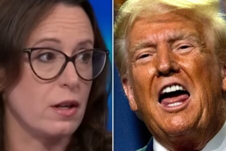 Maggie Haberman Spots Trump Supporter Revolt In Most Surprising Place
 | EUROtoday