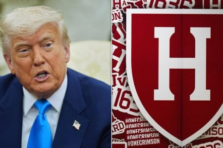 Federal Judge Blocks Trump Administration From Barring Foreign Student Enrollment At Harvard
 | EUROtoday