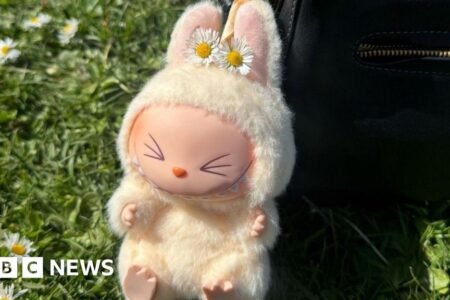 Labubu fan fury after dolls pulled from Pop Mart shops over fights
 | EUROtoday