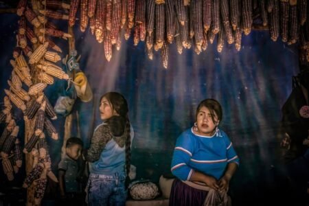 From Asia to America: Genetics reveals new particulars of the longest migration of humanity | Science
 | EUROtoday