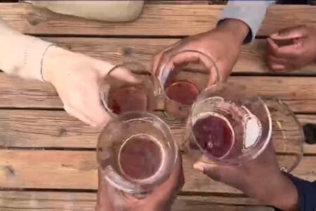 What to do with pure waste from beer productions?
| EUROtoday