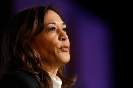 Kamala Harris and Doug Emhoff attend Met Gala however skip pink carpet
 | EUROtoday