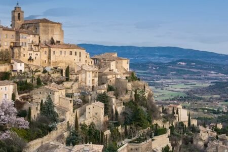 One cease store for getting a french favoy and shifting to france
 | EUROtoday