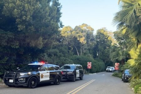 Woman left in a coma after violent break-in at Beanie Babies billionaire’s California dwelling
 | EUROtoday