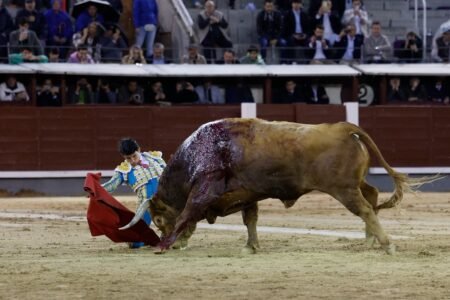 San Isidro Fair: ear to the supply of Fonseca | Culture
 | EUROtoday