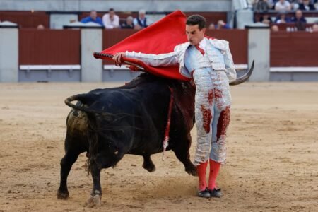 San Isidro Fair: Freny, La Toro Bravo caste | Culture
 | EUROtoday