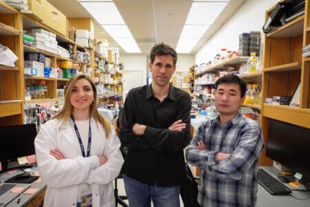 University of Pennsylvania: Artificial intelligence detects antivirals ten occasions sooner and ranging from restricted information | Health and effectively -being
 | EUROtoday