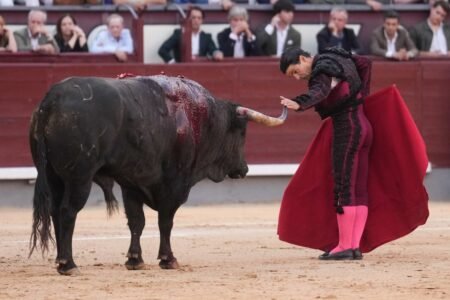 San Isidro Fair: Madrid should include bulls! | Culture
 | EUROtoday