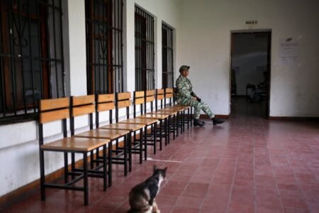 Venezuela elections: an election day that appeared extra a vacation
 | EUROtoday