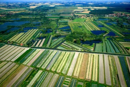 “Food sovereignty goes through the agroecological transition, as the intensive model is out of breath”
 | EUROtoday