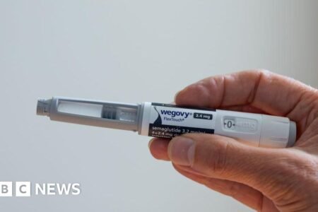 Wegovy-maker Novo Nordisk abruptly ousts chief government
 | EUROtoday