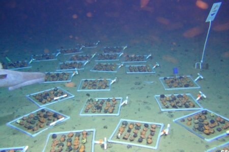 Become wealthy with out the treasure on the ocean flooring
 | EUROtoday