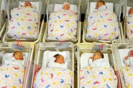 Newborns haven’t any foyer
 | EUROtoday