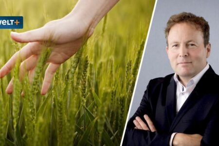 How feared mass hungry wants have been prevented
 | EUROtoday