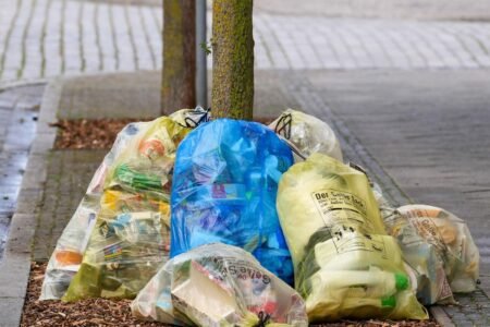 Environment Day on June fifth: Germany produces much less rubbish
 | EUROtoday