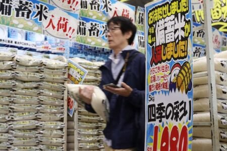 Usa duties affect on Japan: financial evaluation and future prospects
 | EUROtoday