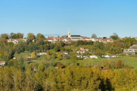 Student allegedly stabs college assistant to demise in France
 | EUROtoday