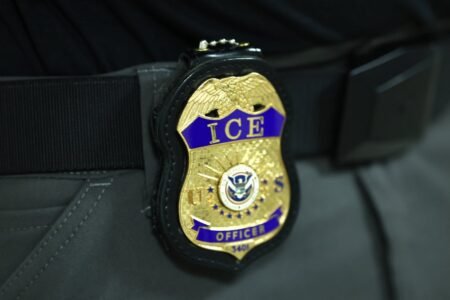 LA man faces 8 years in jail for ‘spitting at an ICE agent’ after being charged with assaulting a federal worker
 | EUROtoday