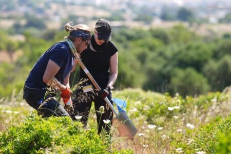 Is this the top of the street within the hunt for Madeleine McCann? How the determined new search got here to nothing
 | EUROtoday