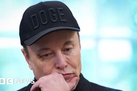 Will Musk’s explosive row with Trump assist or hurt his companies?
 | EUROtoday