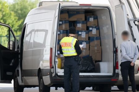 Man flees at border management and dies after altering the capturing
 | EUROtoday
